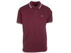 ATCS Classic Tipped Polo Burgundy / Sky